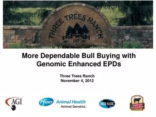 More Dependable Bull Buying with Genomic Enhanced EPDs