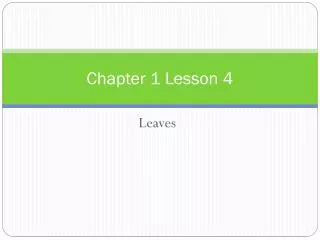 Chapter 1 Lesson 4