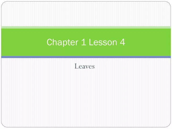 chapter 1 lesson 4