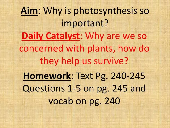 aim why is photosynthesis so important