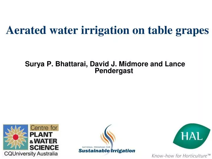 aerated water irrigation on table grapes