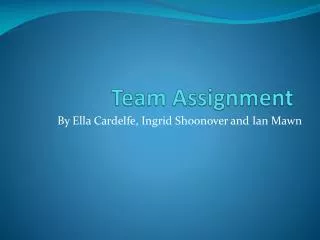 Team Assignment