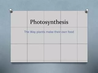 photosynthesis