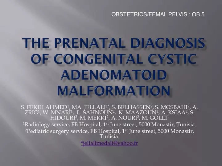 the prenatal diagnosis of congenital cystic adenomatoid malformation