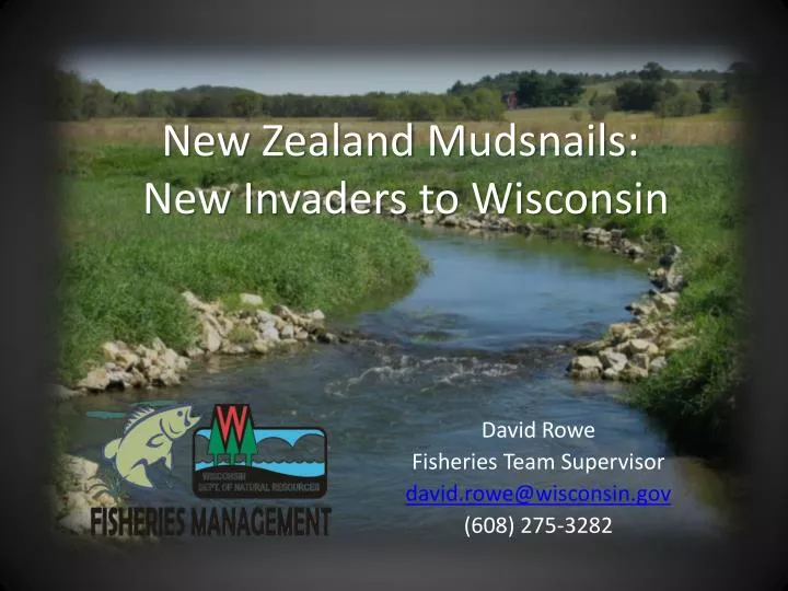 new zealand m udsnails new i nvaders to wisconsin
