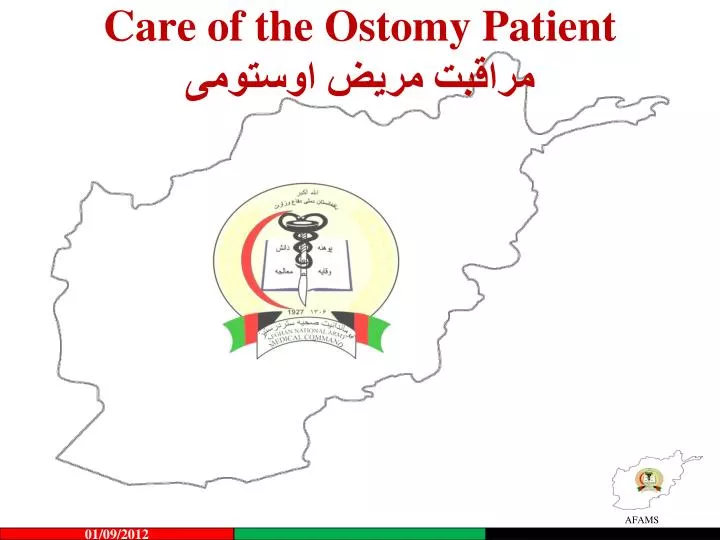 care of the ostomy patient
