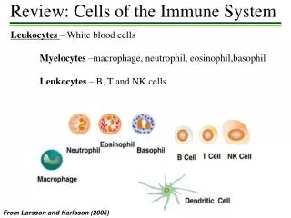 Review: Cells of the Immune System