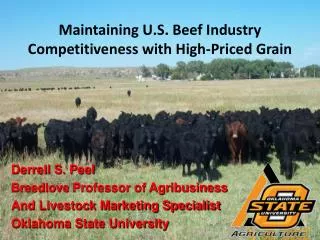 Maintaining U.S. Beef Industry Competitiveness with High-Priced Grain