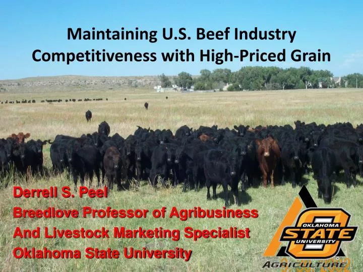 maintaining u s beef industry competitiveness with high priced grain