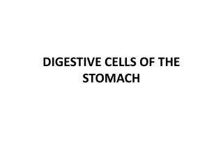 DIGESTIVE CELLS OF THE STOMACH