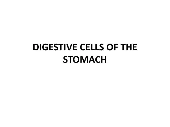 digestive cells of the stomach