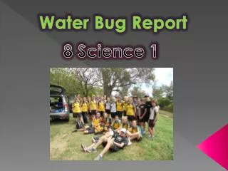 Water Bug Report