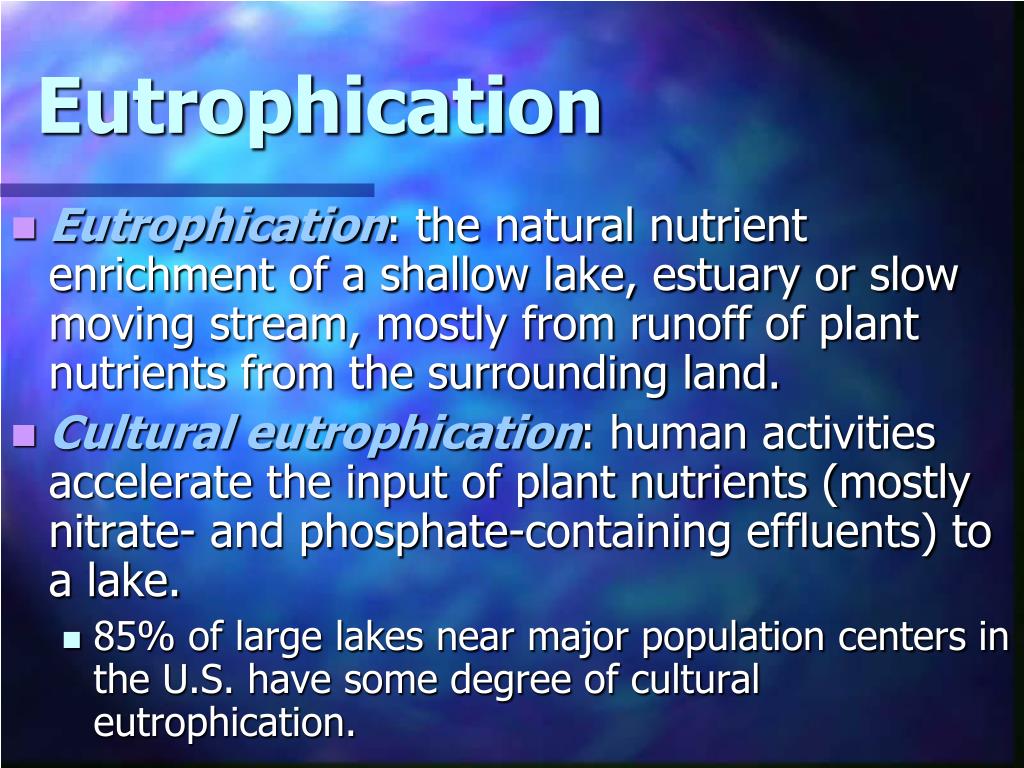 PPT - Eutrophication PowerPoint Presentation, free download - ID:2034907