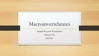 Macroinvertebrates