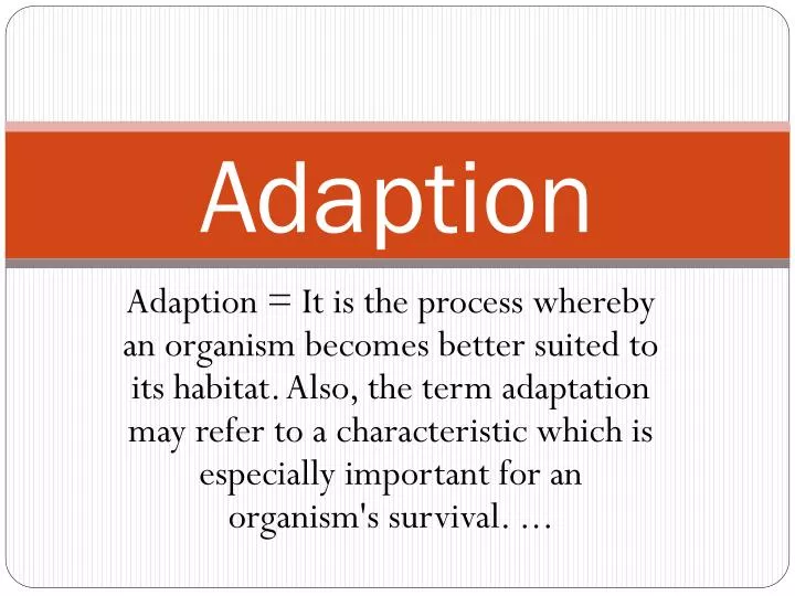 adaption