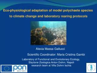 Eco-physiological adaptation of model polychaete species