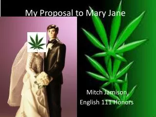 My Proposal to Mary Jane