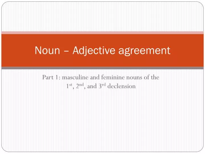 noun adjective agreement