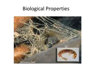 Biological Properties