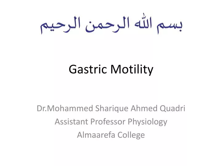 gastric motility