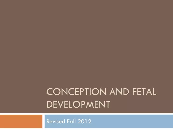conception and fetal development