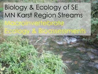 Biology &amp; Ecology of SE MN Karst Region Streams Macroinvertebrate Ecology &amp; Bioassessments
