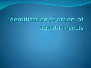 Identification of orders of aquatic insects