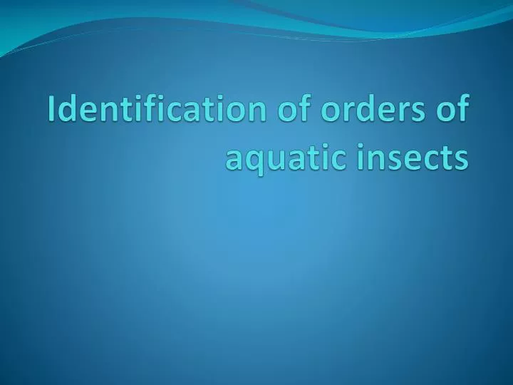 identification of orders of aquatic insects