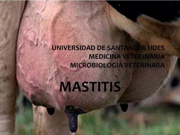 universidad de santander udes medicina veterinaria microbiologia veterinara
