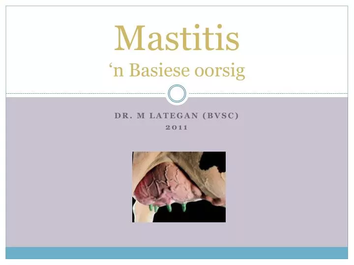 mastitis n basiese oorsig