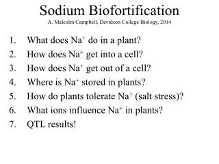 What does Na + do in a plant? How does Na + get into a cell? How does Na + get out of a cell?