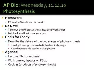 AP Bio: Wednesday, 11.24.10 Photosynthesis