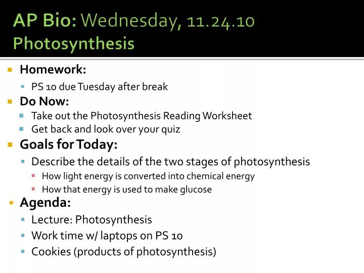 ap bio wednesday 11 24 10 photosynthesis