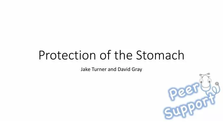 protection of the stomach