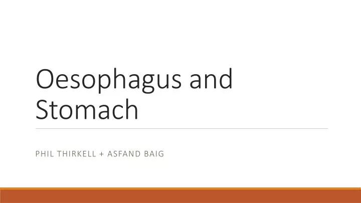 oesophagus and stomach