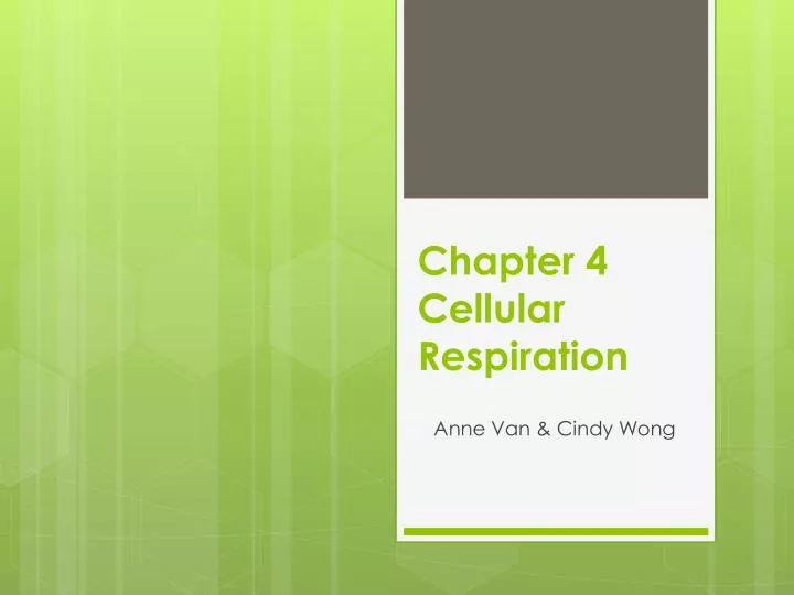 chapter 4 cellular respiration