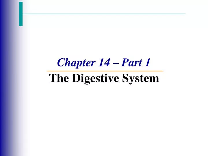 chapter 14 part 1 the digestive system