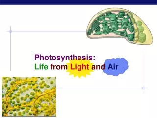 Photosynthesis: Life from Light and Air