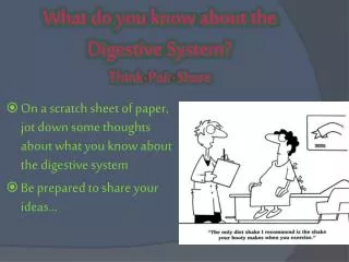 What do you know about the Digestive System? Think-Pair-Share