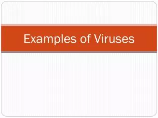 Examples of Viruses