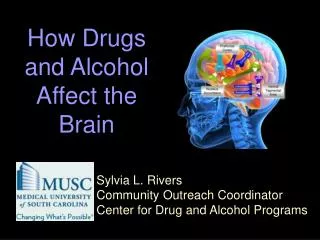Sylvia L. Rivers Community Outreach Coordinator Center for Drug and Alcohol Programs