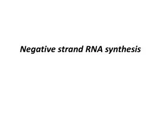 Negative strand RNA synthesis