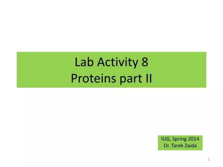 lab activity 8 proteins part ii
