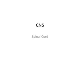 CNS