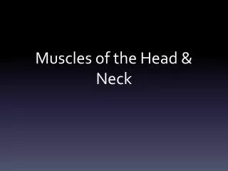 Muscles of the Head &amp; Neck