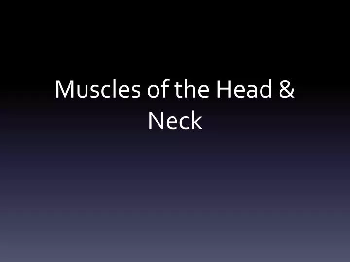 muscles of the head neck