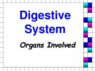 Digestive System