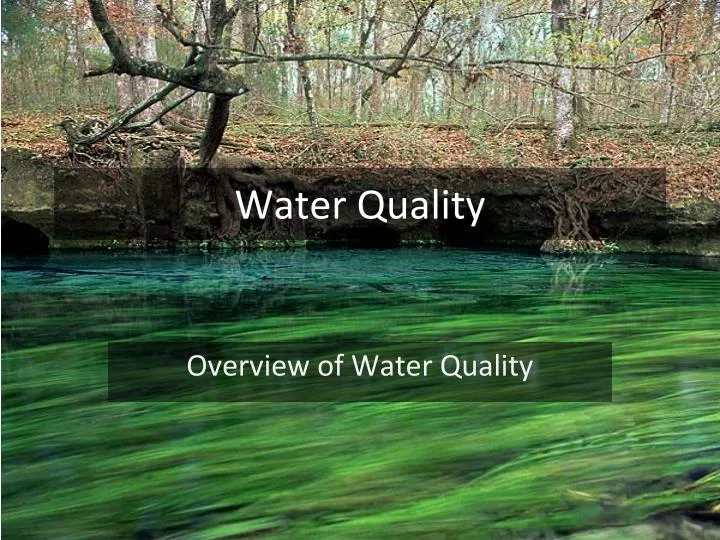 water quality