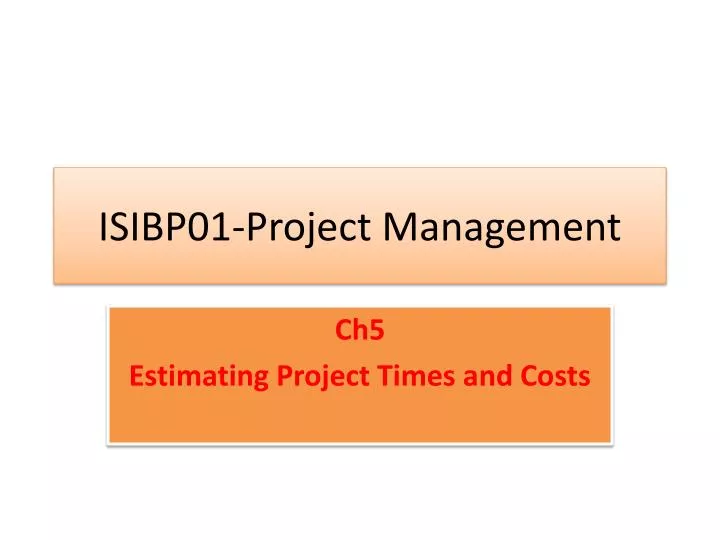 isibp01 project management