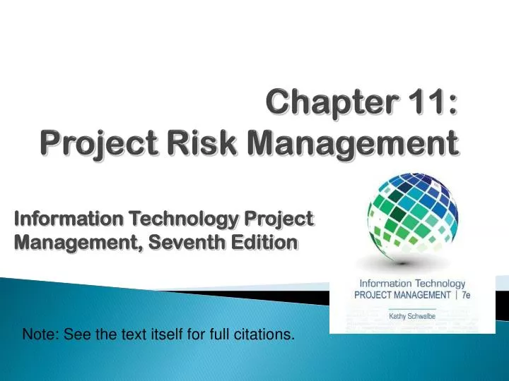 chapter 11 project risk management